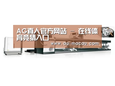 案例展示五