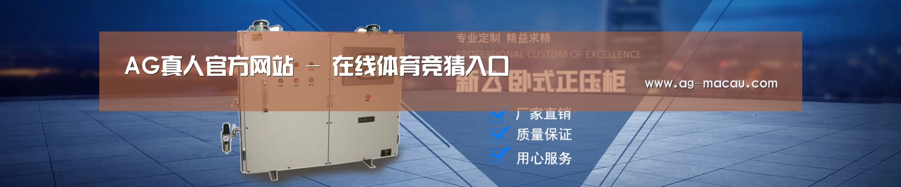 某某机械公司