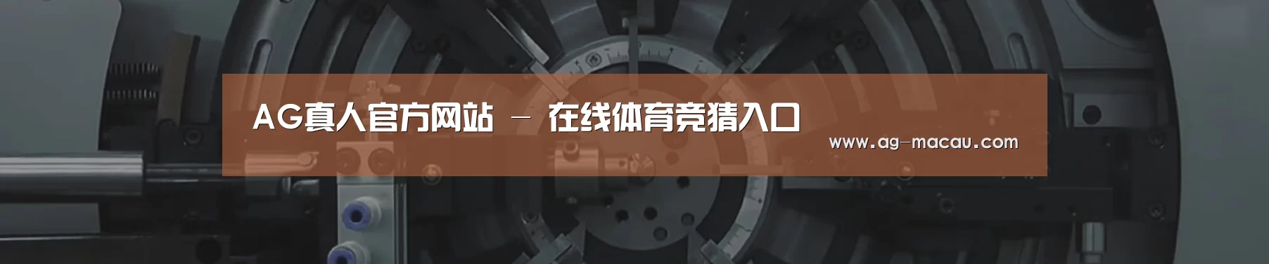 某某机械公司