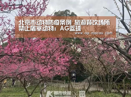 北京市动物防疫条例 旅游餐饮场所禁止屠宰动物:AG篮球(图1) AG足球