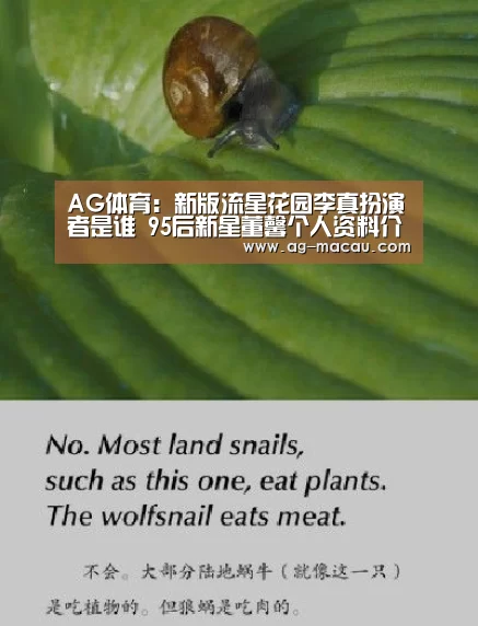 AG赛事
