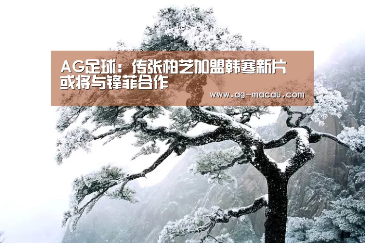 AG足球：传张柏芝加盟韩寒新片 或将与锋