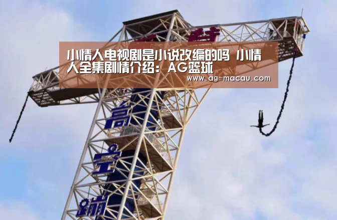 小情人电视剧是小说改编的吗 小情人全集剧情介绍:AG篮球(图2) AG体育