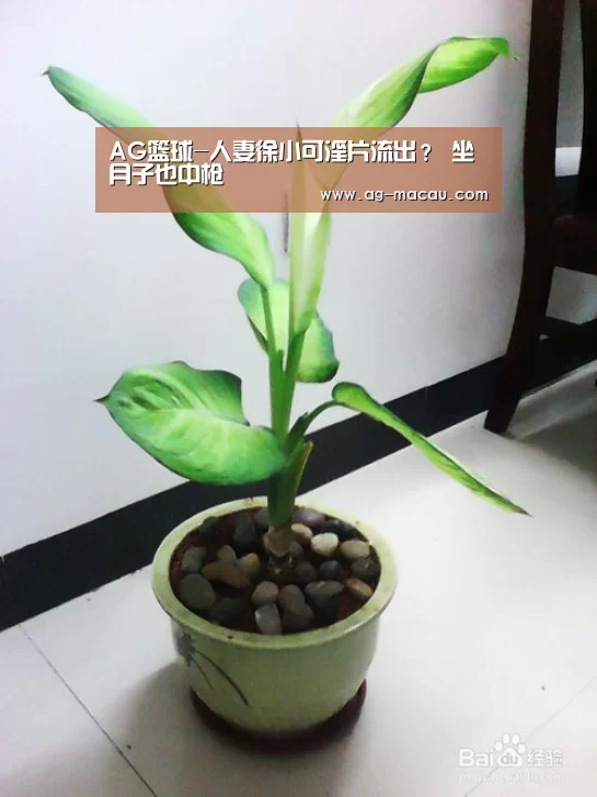 AG篮球-人妻徐小可淫片流出? 坐月子也中枪(图1) AG赛事
