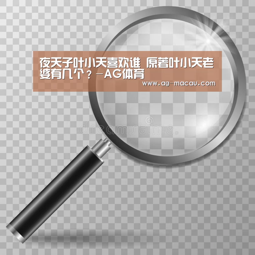 夜天子叶小天喜欢谁 原著叶小天老婆有几个?-AG体育(图1) AG体育
