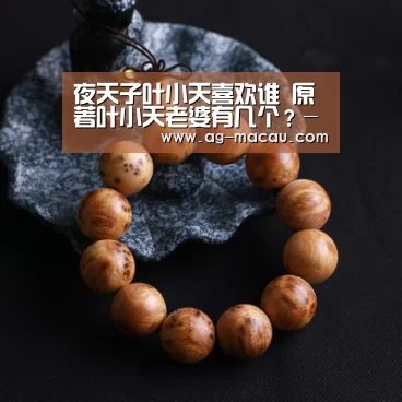夜天子叶小天喜欢谁 原著叶小天老婆有几个?-AG体育(图3) AG赛事